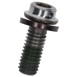 Remmen Reserveonderdelen|Bouten < Shimano Remklauw Bevestigingsbout - M6 x 14.6mm | Titanium | Y8LF08000