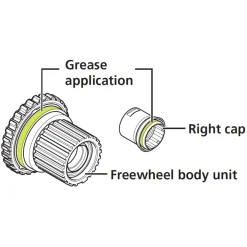 Shimano Seal Grease for Micro Spline Freehubs - 50g