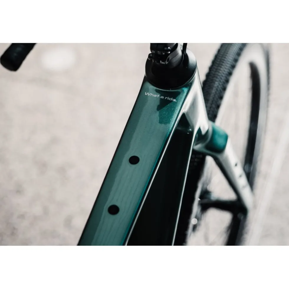 Simplon GRID CORE - Carbon gravel bike - 2026 - Dark Pine Green/Polished Silver Metallic