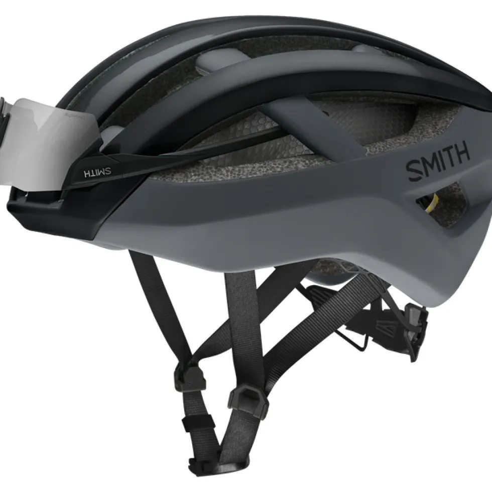 Smith Network MIPS Helm - Matte Archive Flamingo