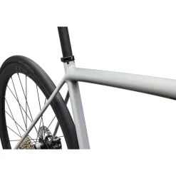 Endurance Racefietsen < Specialized AETHOS 2 EXPERT - Carbon Racefiets - 2026 - gloss dolomite metallic
