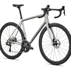 Endurance Racefietsen < Specialized AETHOS 2 EXPERT - Carbon Racefiets - 2026 - gloss dolomite metallic