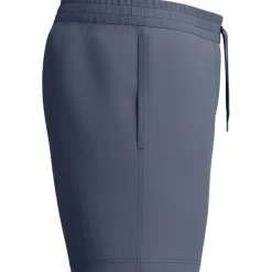 Speedo Essentials 16 Inch Zwemshort Heren - grey lead