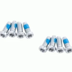SRAM Crank Bolt Kit T20 for Removable Spider - 8 Pieces - silver