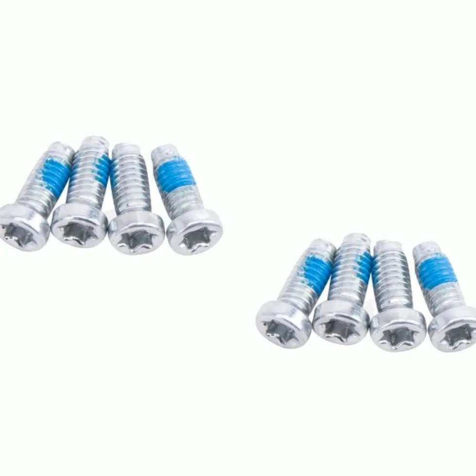 SRAM Crank Bolt Kit T20 for Removable Spider - 8 Pieces - silver