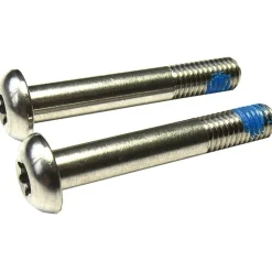 SRAM Torx 25 Bolt Kit for Flat Mount Brake Caliper - 42mm - Titanium - 00.5318.005.011