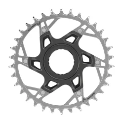 E-Bike Aandrijving < SRAM XX Eagle T-TYPE 1x12 Kettingblad voor Fazua | Direct Mount - zilver