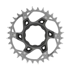E-Bike Aandrijving < SRAM XX Eagle T-TYPE 1x12 Kettingblad voor TQ | Direct Mount - zilver