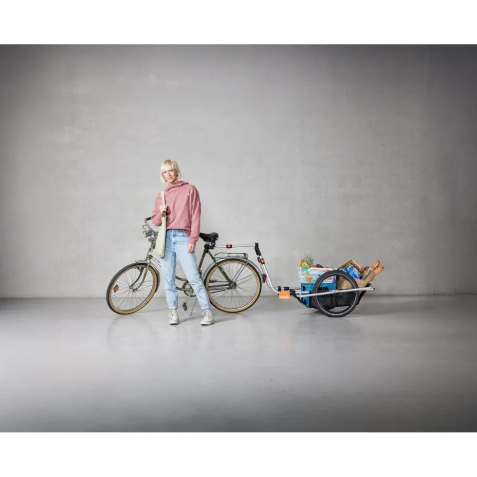 Thule Reacha City Fietskar