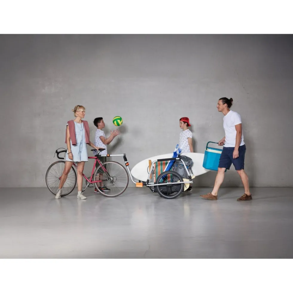 Thule Reacha City Fietskar