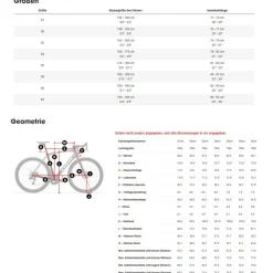 Trek DOMANE SLR 9 AXS Gen 4 - Carbon Racefiets - 2026 - Metallic Red Smoke to Red Carbon Smoke