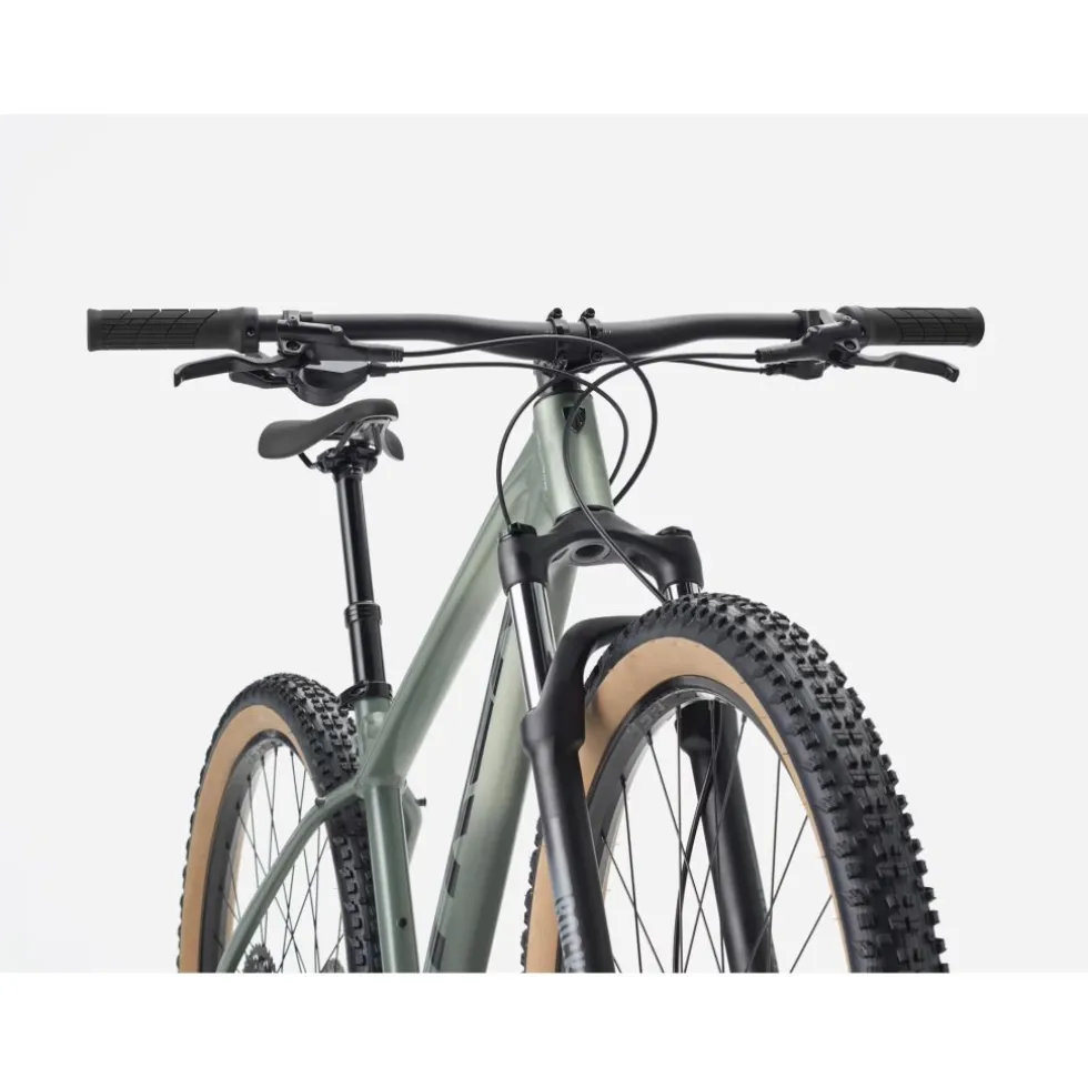 Trek MARLIN 6 Gen 3 - 29" MTB - 2026 - Matte Lichen / Keswick Green Fade
