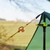 Wechsel Tarp S - groen