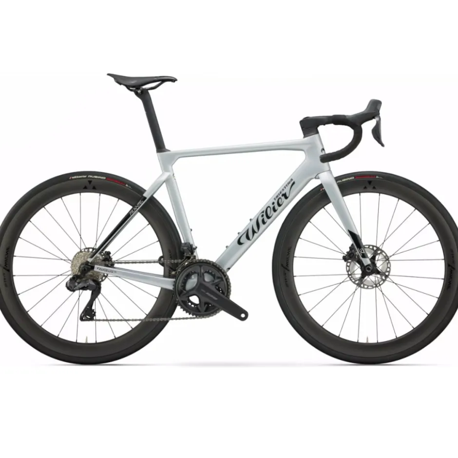 Endurance Racefietsen < Wilier FIANTE - 105 Di2 - iche 50 - Carbon racefiet - 2026 - iver back goy