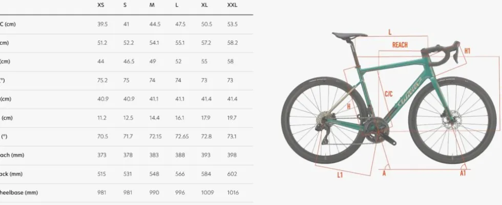 Wilier GARDA - 105 - Racefiets in carbon - 2026 - green gold glossy