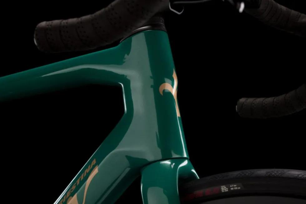 Wilier GARDA - 105 - Racefiets in carbon - 2026 - green gold glossy