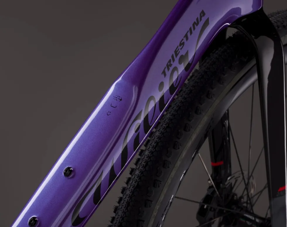 Wilier RAVE SLR ID2 - Rival AXS - Carbon Gravel Bike - 2026 - neon purple