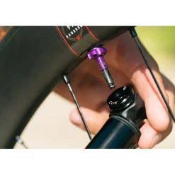 Wolf Tooth Ventielkit - Tubeless | Clik Valve (SCV) - oil slick
